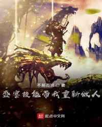 ʢ�缼�ܴ�����������