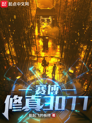 ��������3077