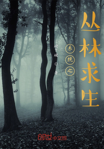 ϵͳ֮��������