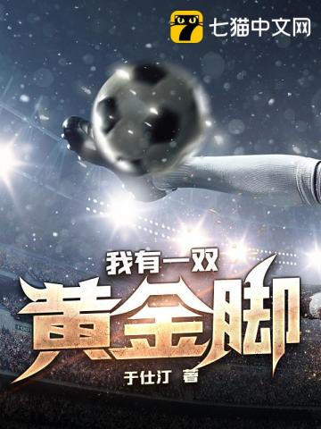 ����һ˫�ƽ��