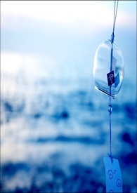 ��һ����ź�