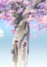 <ӣ������>