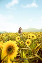 ����ƽ�ļ�