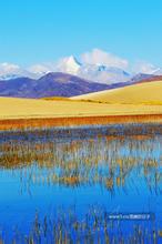 ������ʹ֮���ļ�