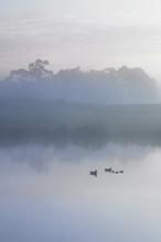 �ޱ����ļ�