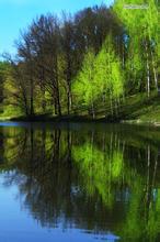 china_boy_1980�ļ�