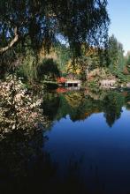 �飬�޴����ļ�