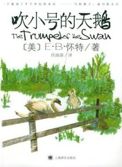 ��С�ŵ����