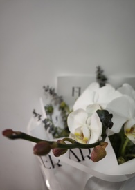 �ҵ�δ����������