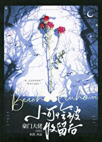 С���������Ŵ���������