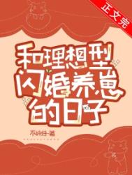 ���������������̵�����