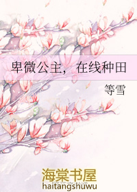 ��΢��������������