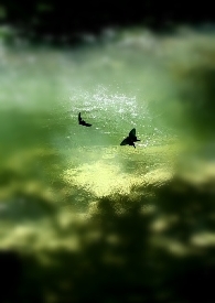 305���ͷ���