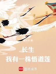 ����������һ�������