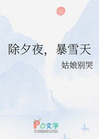 ��Ϧҹ����ѩ��