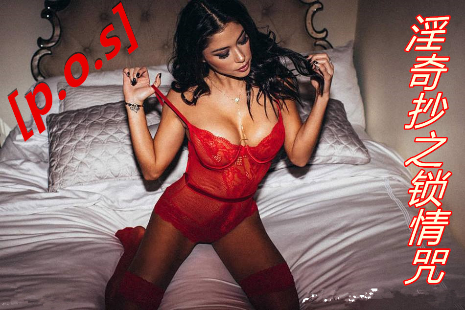 [p.o.s]���泭֮������