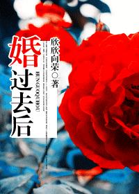 ��͸������