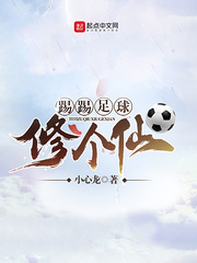 ���������޸���