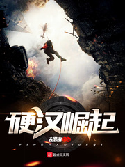 Ӳ������