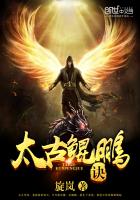 ̫��������