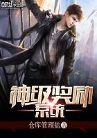 �񼶽���ϵͳ