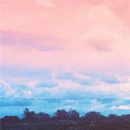 ������õ�����