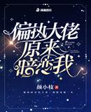 ƫִ����ԭ��������