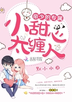 ���ٵ�ר����С���ģ�̫����