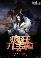 ��񿪱���ϵͳ