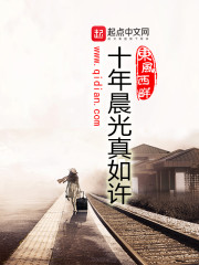 ʮ�곿��������