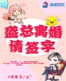 ʢ�������ǩ��