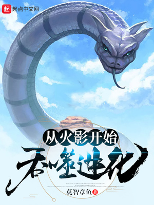 �ӻ�Ӱ��ʼ���ɽ���