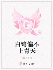 ����ƫ��������